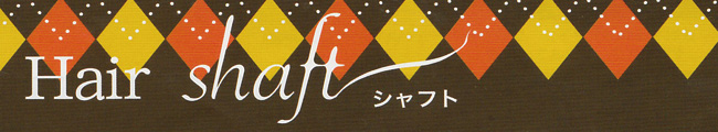Hair shaft(シャフト)